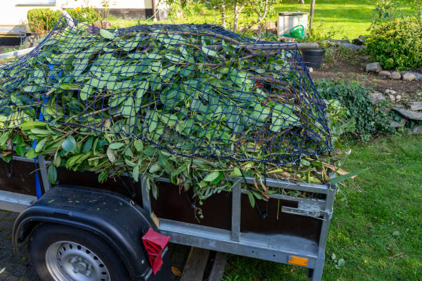 Best Same-Day Junk Removal Services  in Nyssa, OR